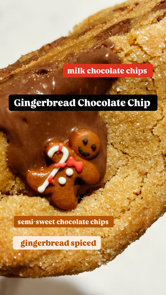 Gingerbread Chocolate Chip Cookie